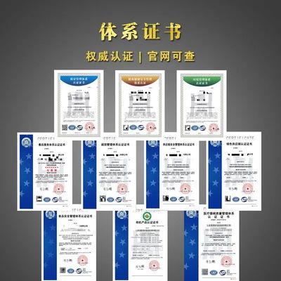 融資擔(dān)保公司信用評級 透視信用擔(dān)保的基石與風(fēng)險